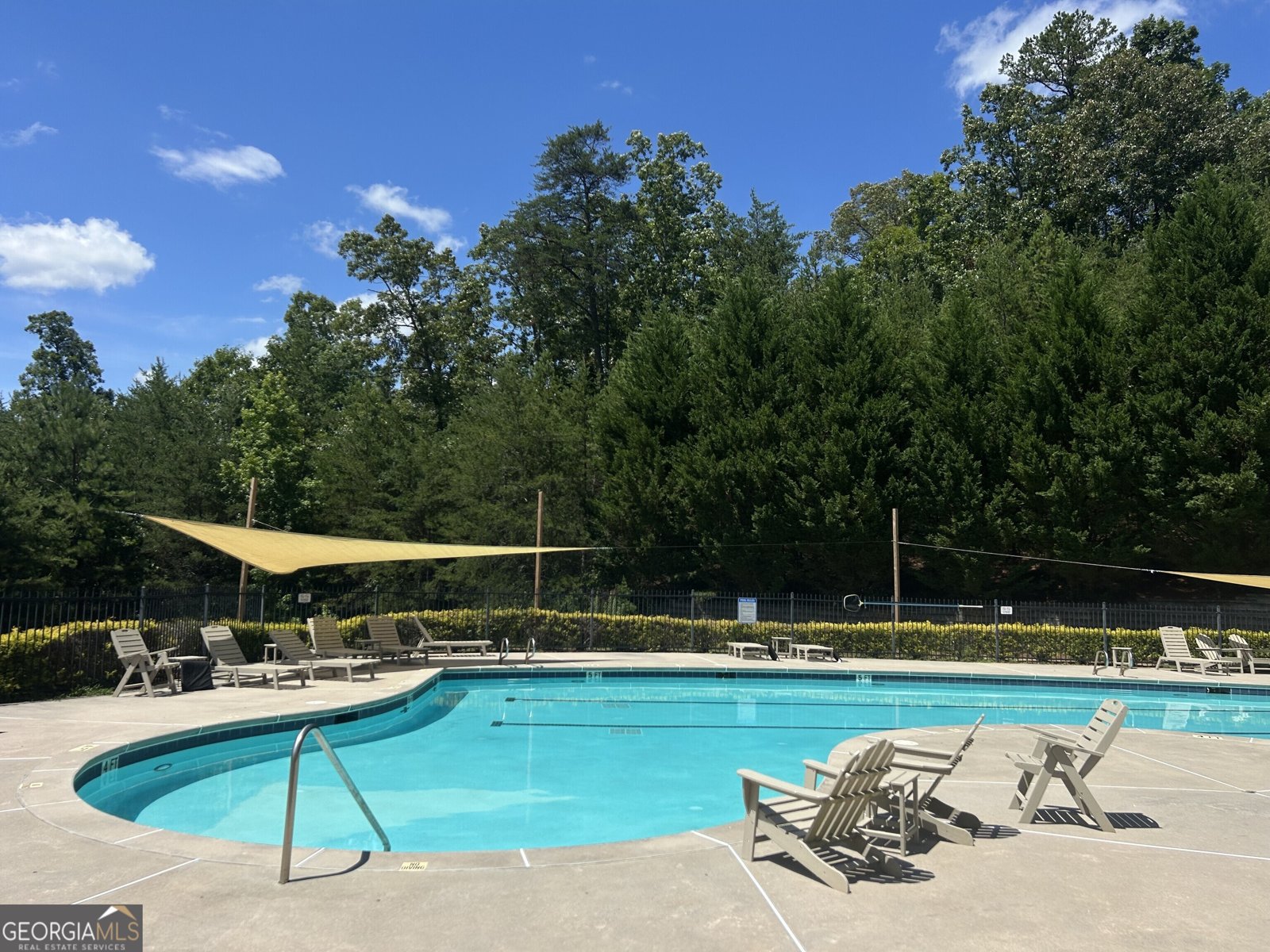 460 Morgan Lane Lane DAWSONVILLE - 44