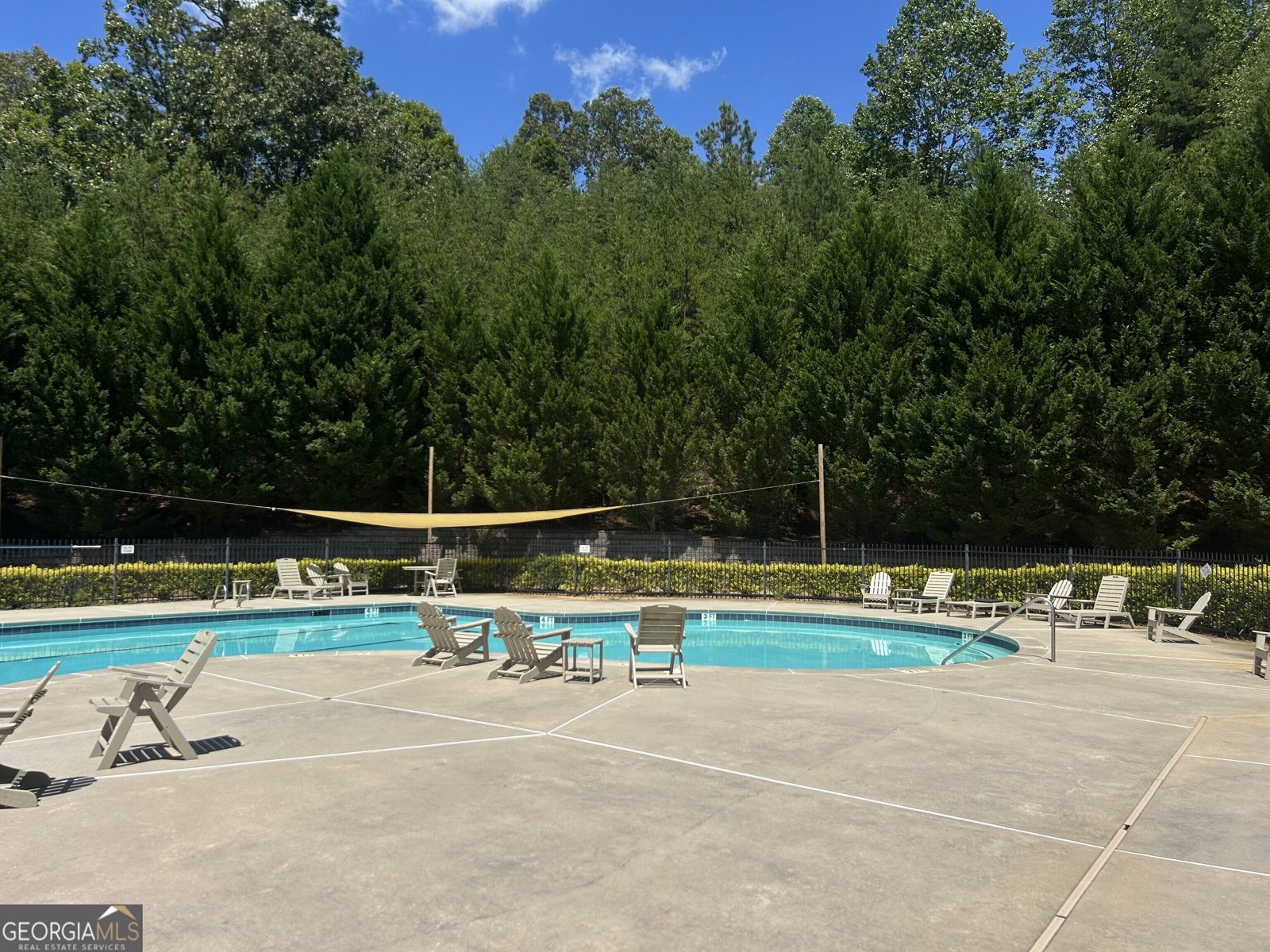 460 Morgan Lane Lane DAWSONVILLE - 45
