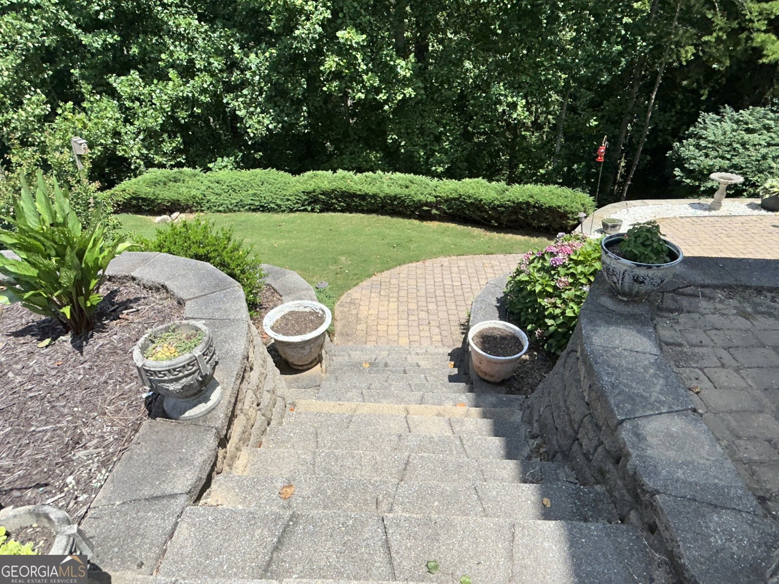 460 Morgan Lane Lane DAWSONVILLE - 61