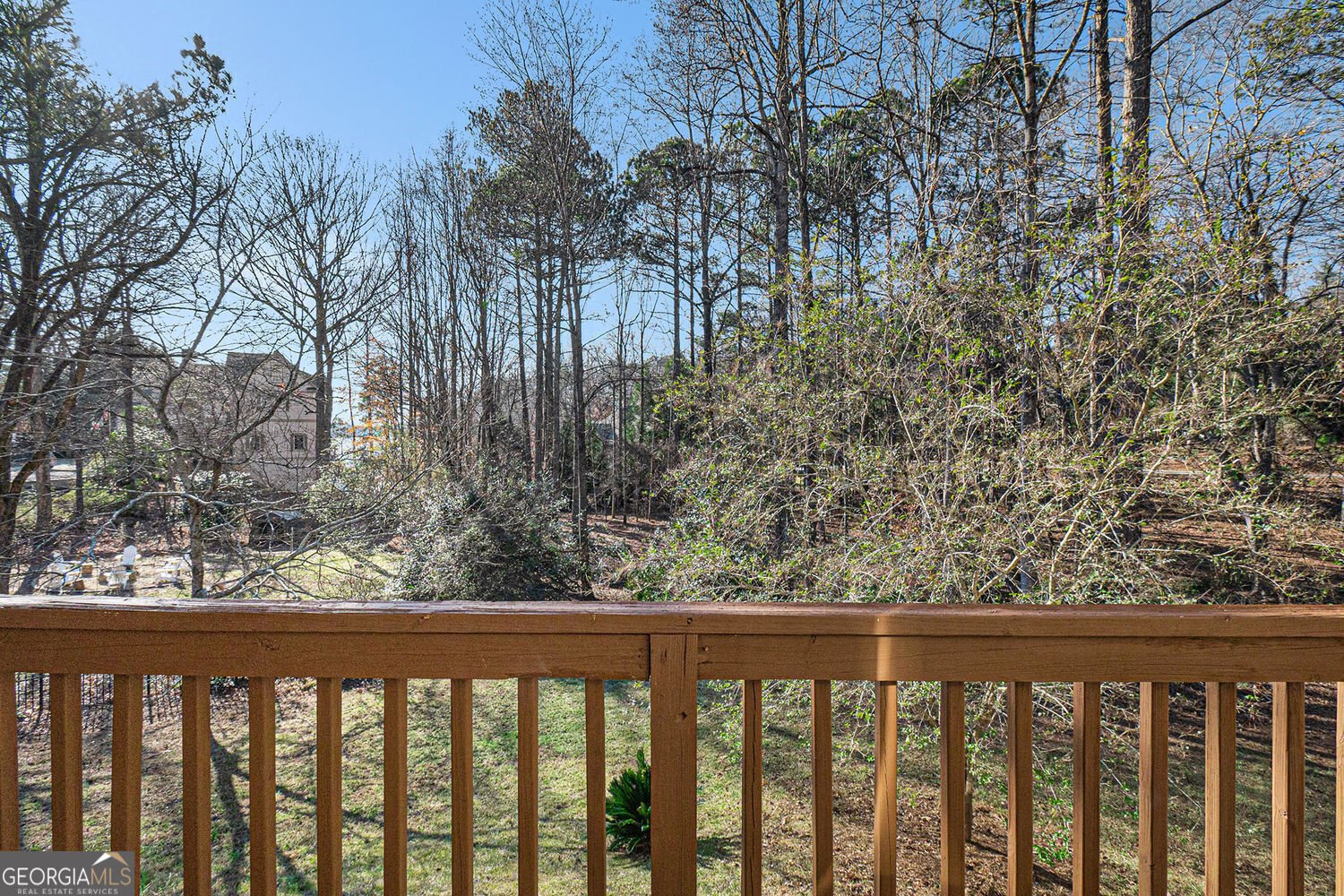 6614 Club View Court FLOWERY BRANCH - 31