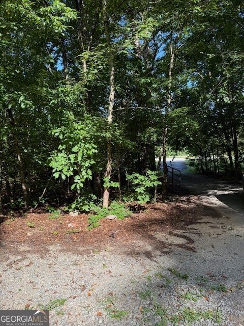 3755 Buchanan Highway Cedartown - 12