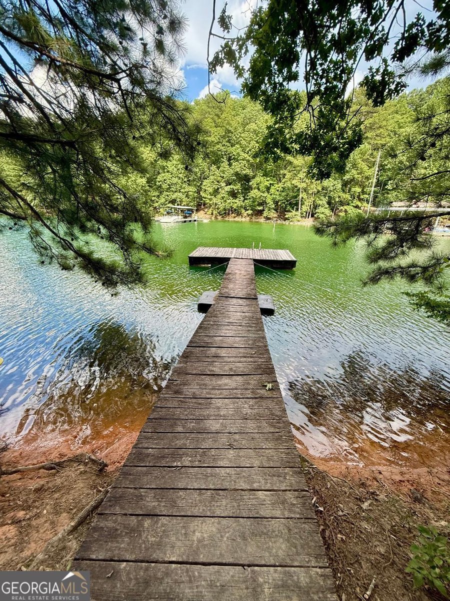 2075 Pine Tree Drive Buford - 23