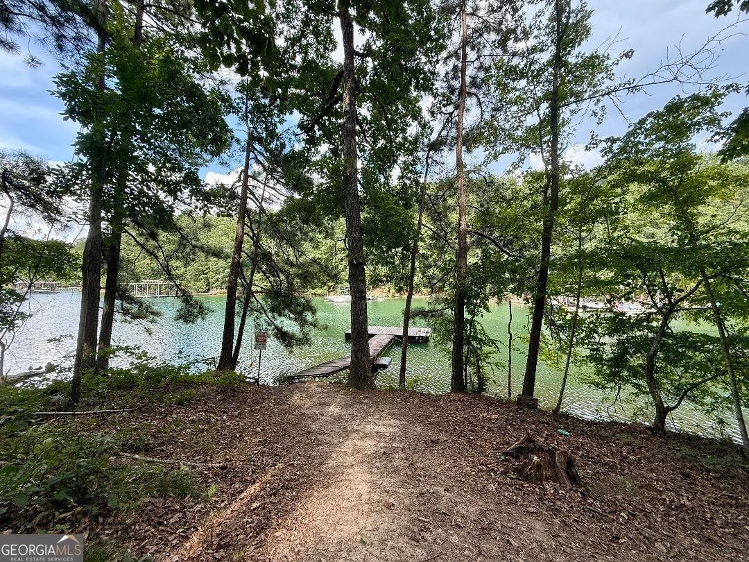 2075 Pine Tree Drive Buford - 25