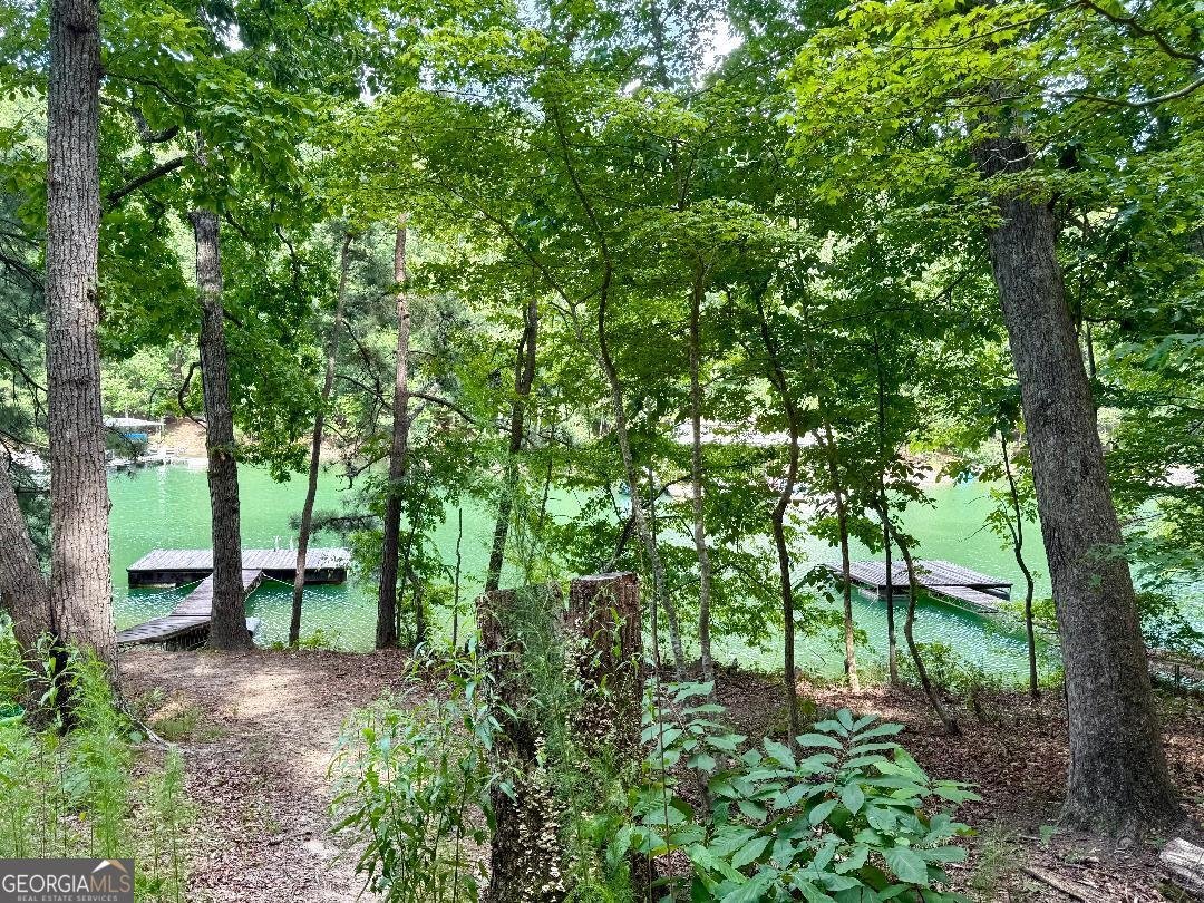 2075 Pine Tree Drive Buford - 26