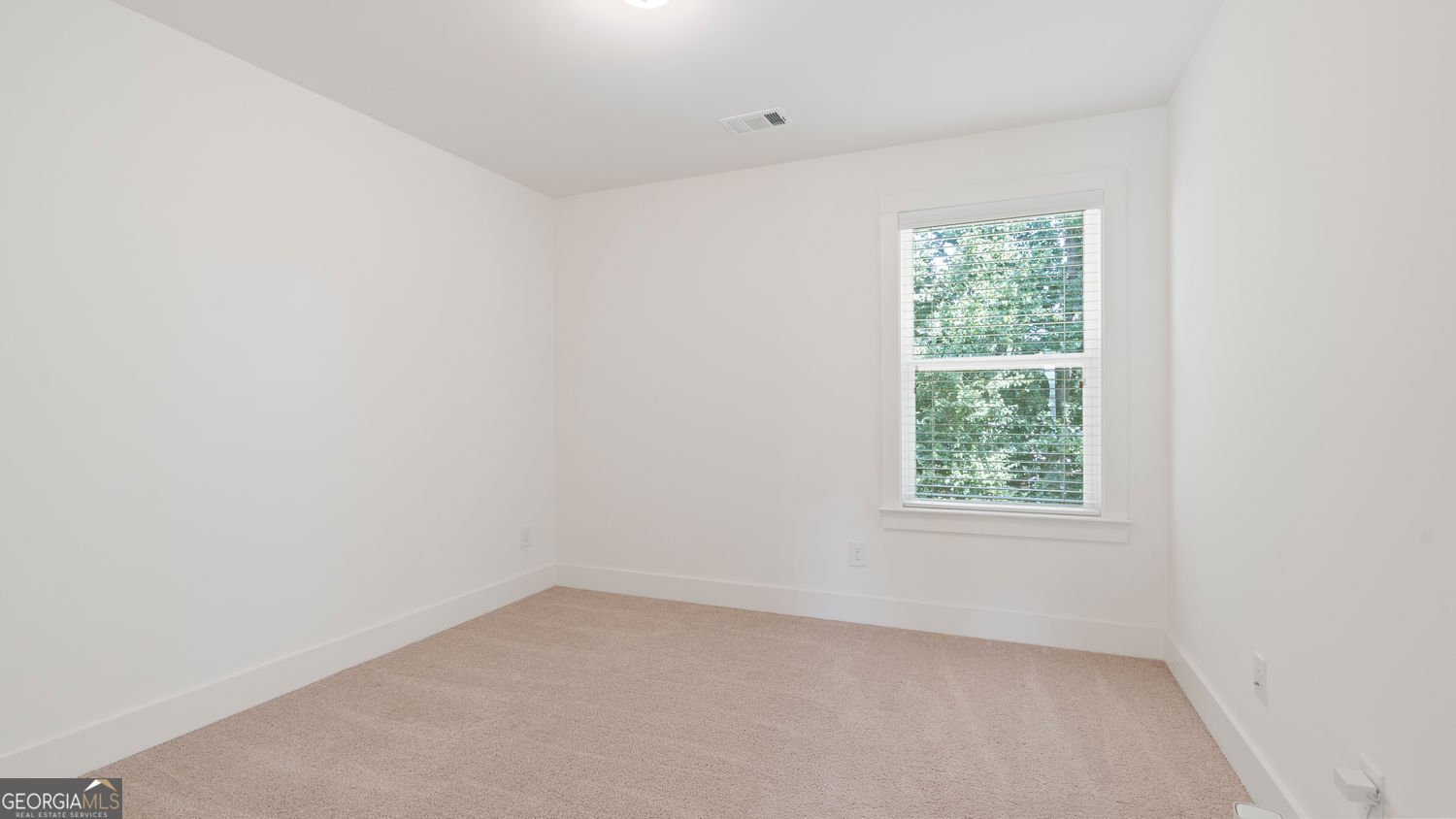 1107 Halletts Peak Place Lawrenceville - 21