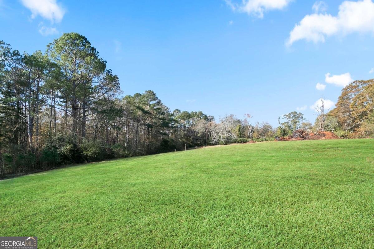 628 Sandhill Hickory Level Road Carrollton - 31