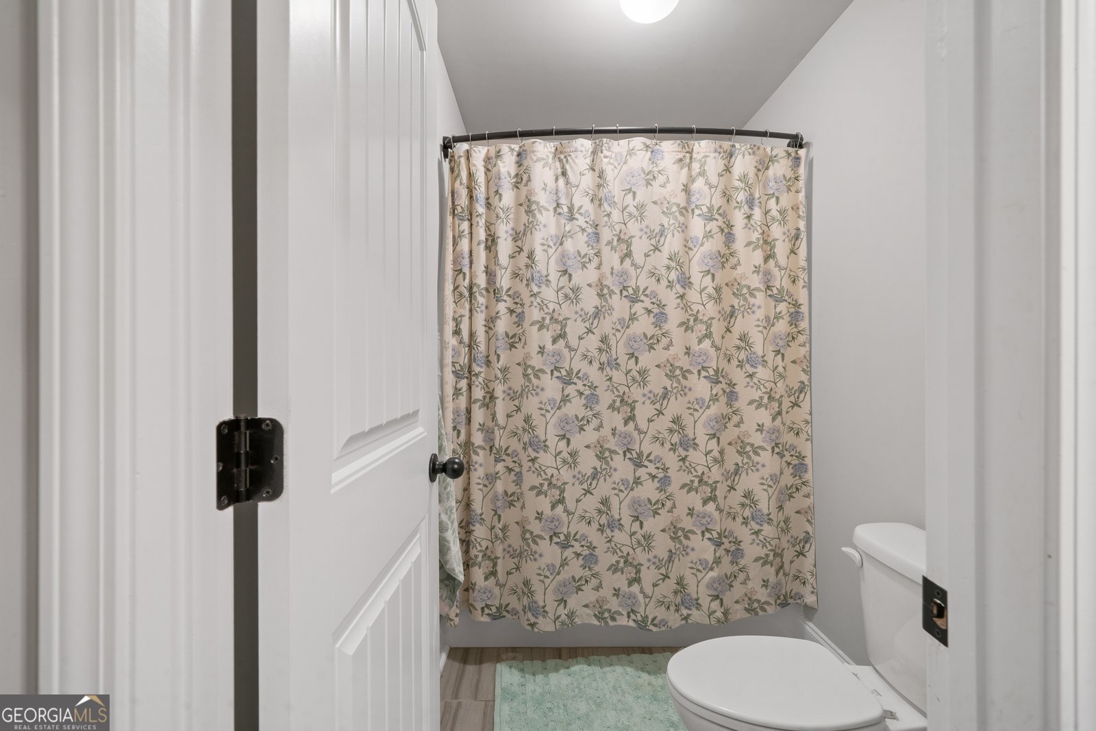 105 Grey Hawk Court Kathleen - 41
