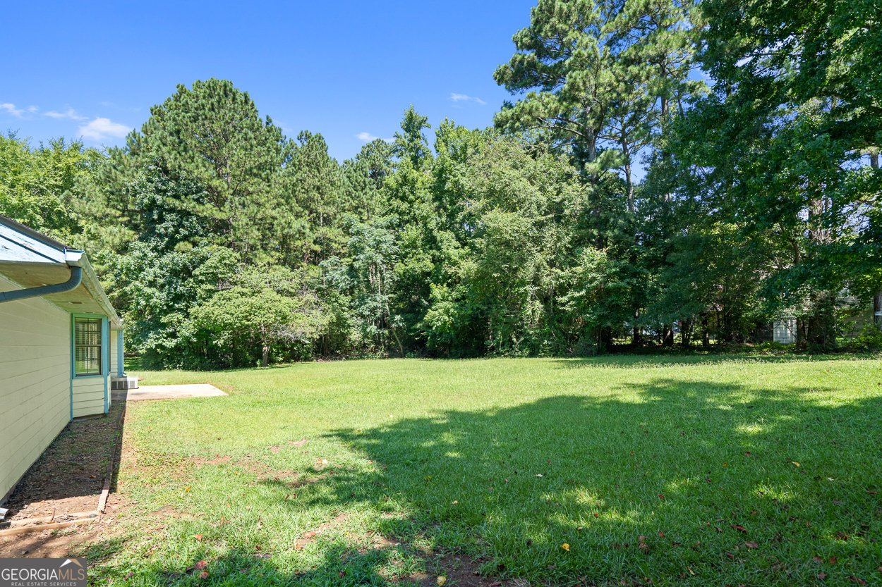 322 Acaro Court Ellenwood - 28