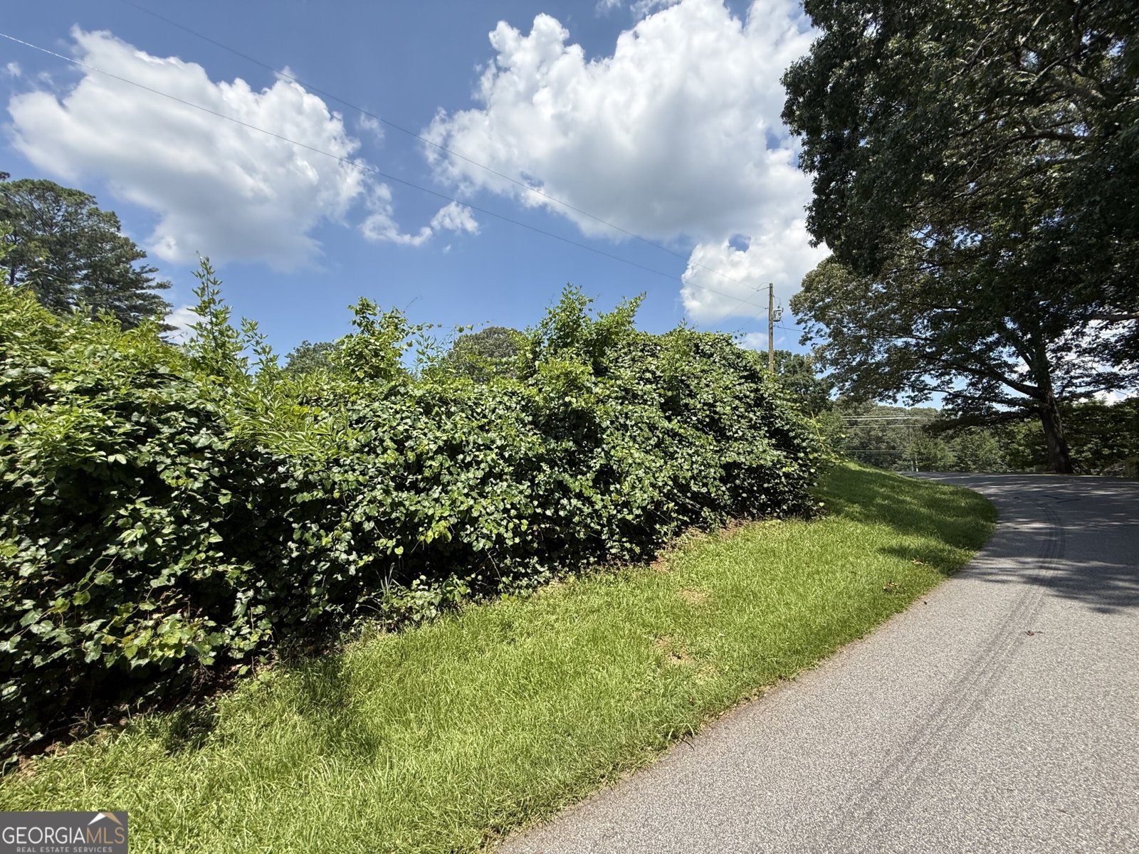 171 Brimer Road Newnan - 21