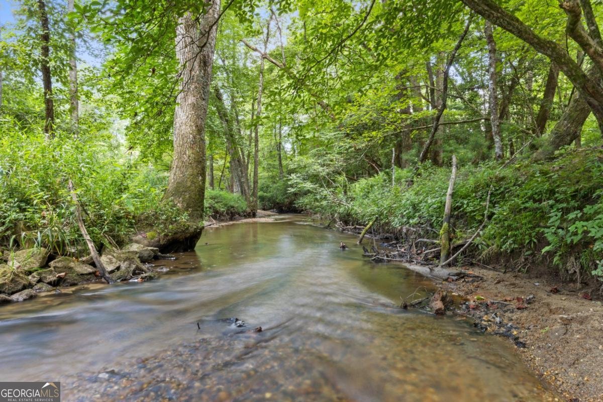 127 Twin Creeks Blue Ridge - 3