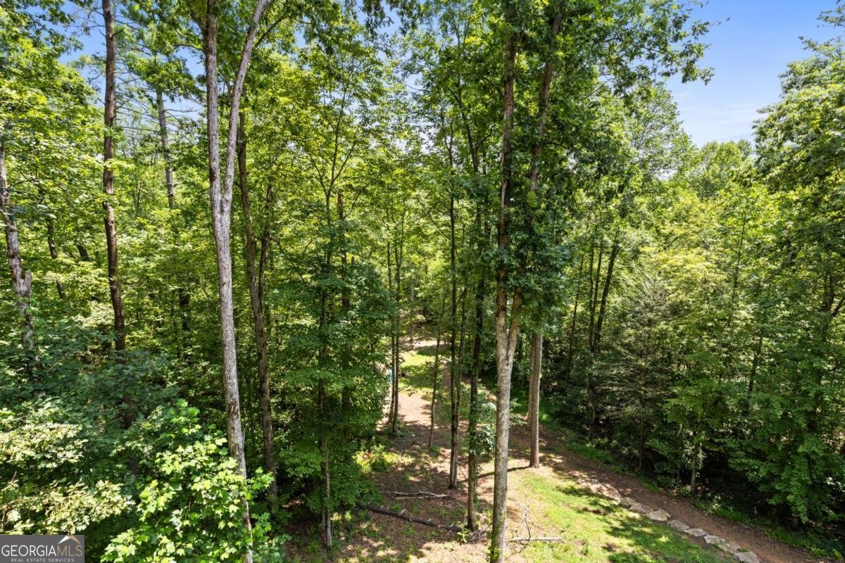127 Twin Creeks Blue Ridge - 46