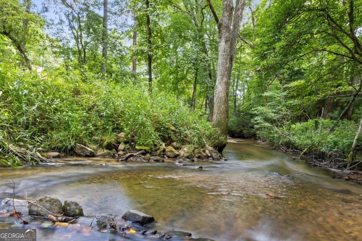 127 Twin Creeks Blue Ridge - 5