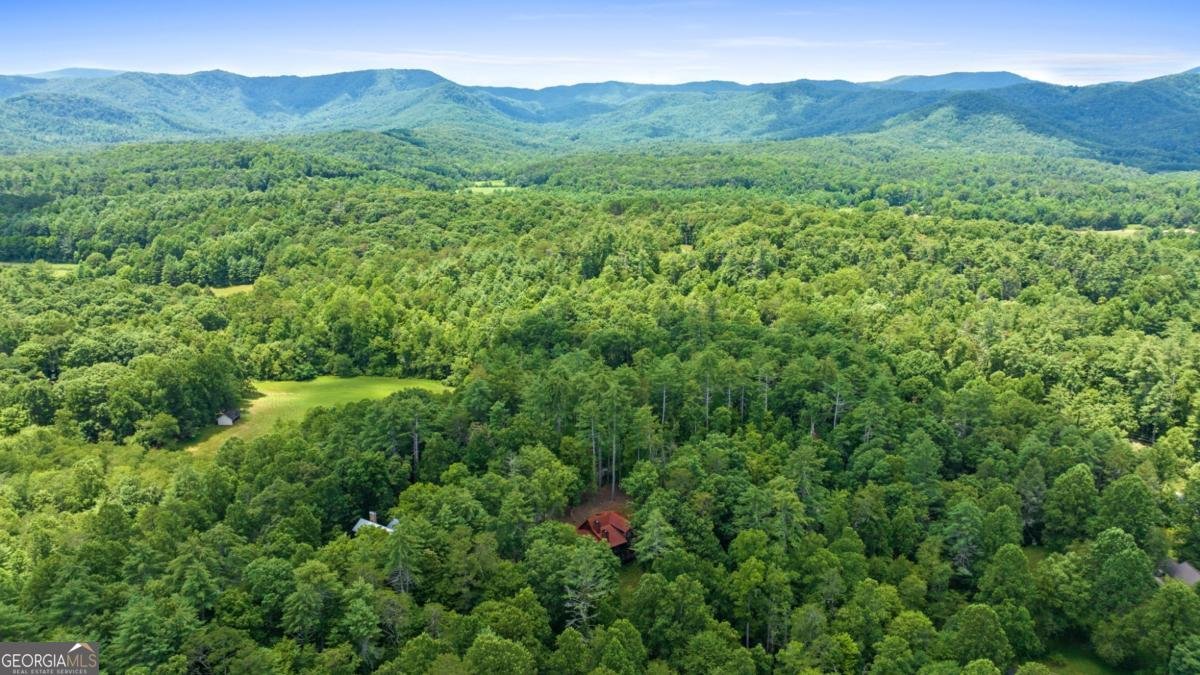 127 Twin Creeks Blue Ridge - 7
