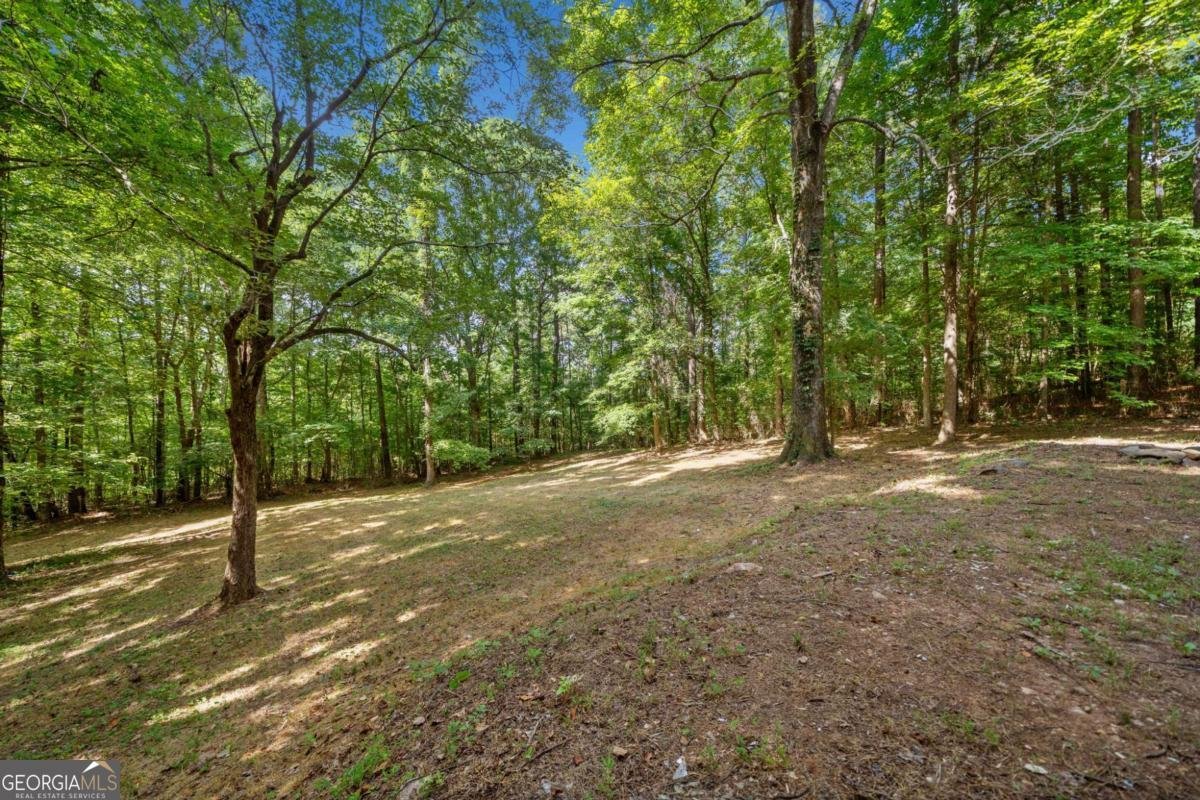 1207 Dabbs Bridge Road Dallas - 27