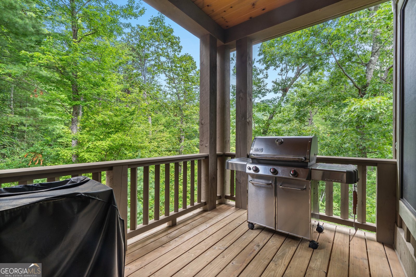 518 Grizzly Ridge Road Lakemont - 19