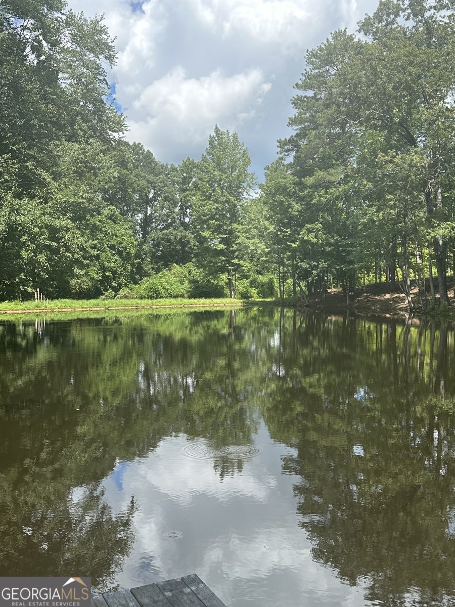 1845 Smokey Road Newnan - 1