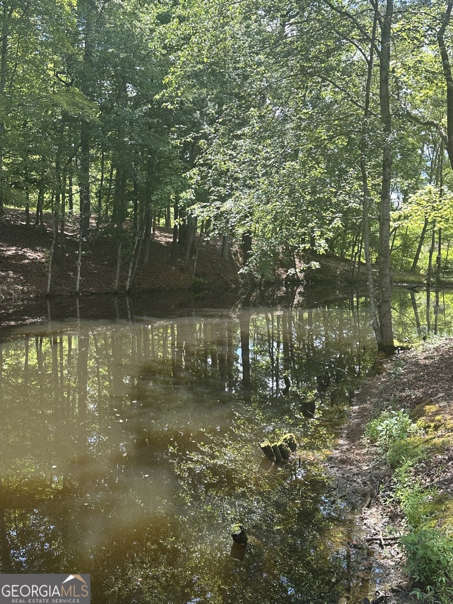 1845 Smokey Road Newnan - 22