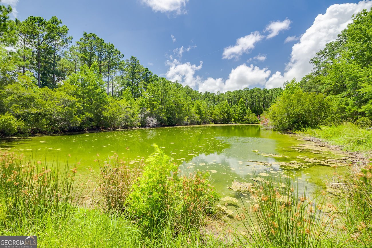 1198 Fiddler's Cove Townsend - 43