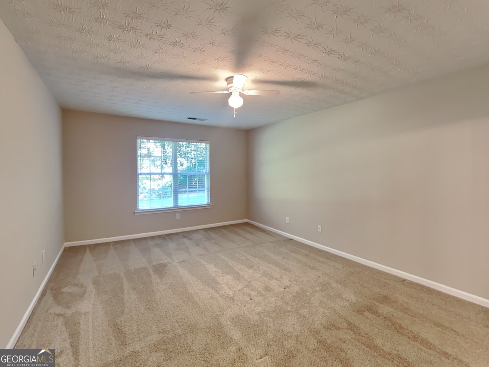 159 Towler Shoals Drive Loganville - 9