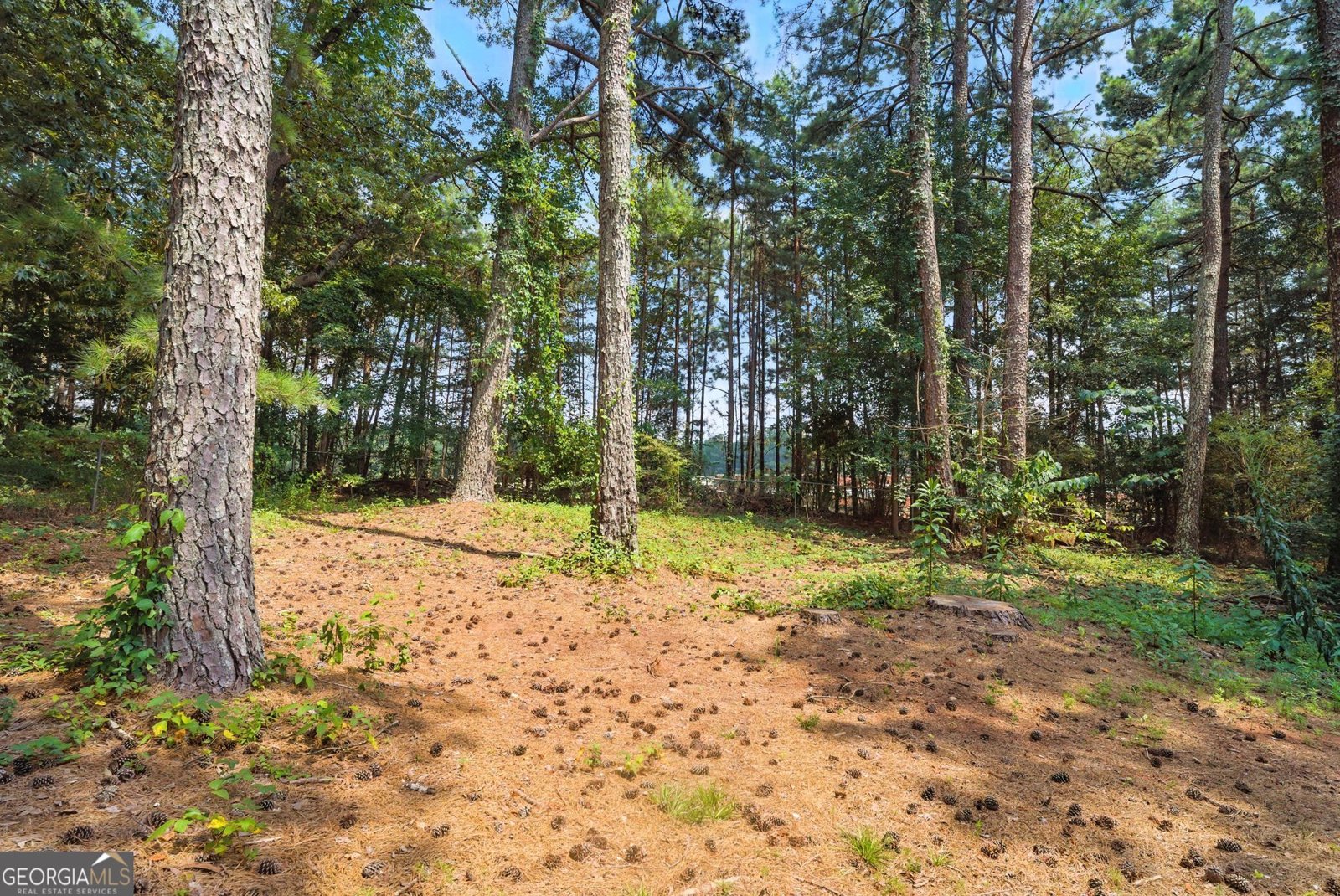2106 Singer Way Lithonia - 30