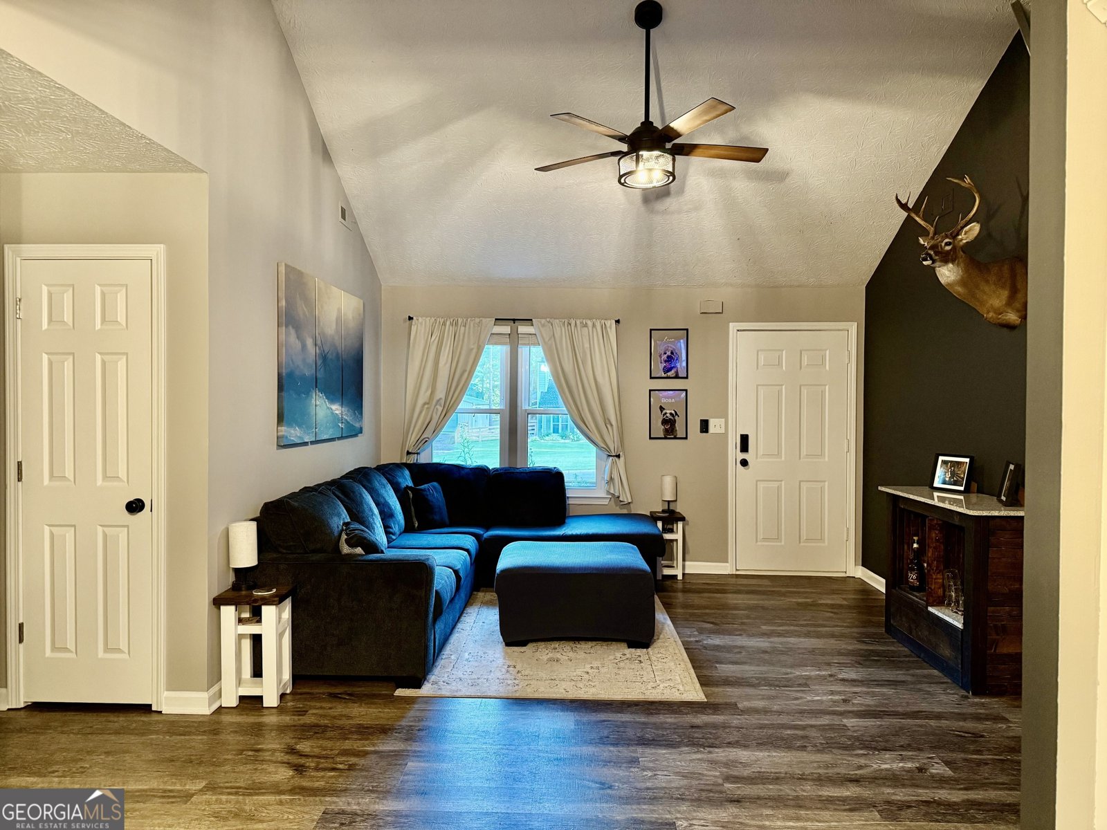 148 Apache Pointe Drive Senoia - 7