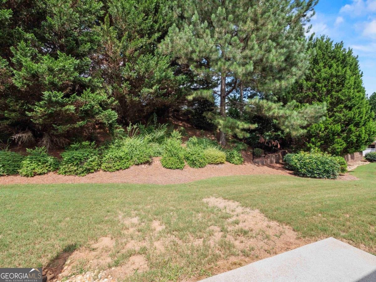 6141 Longleaf Drive Hoschton - 16
