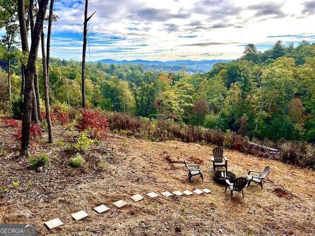 465 White Oak Circle Blue Ridge - 18