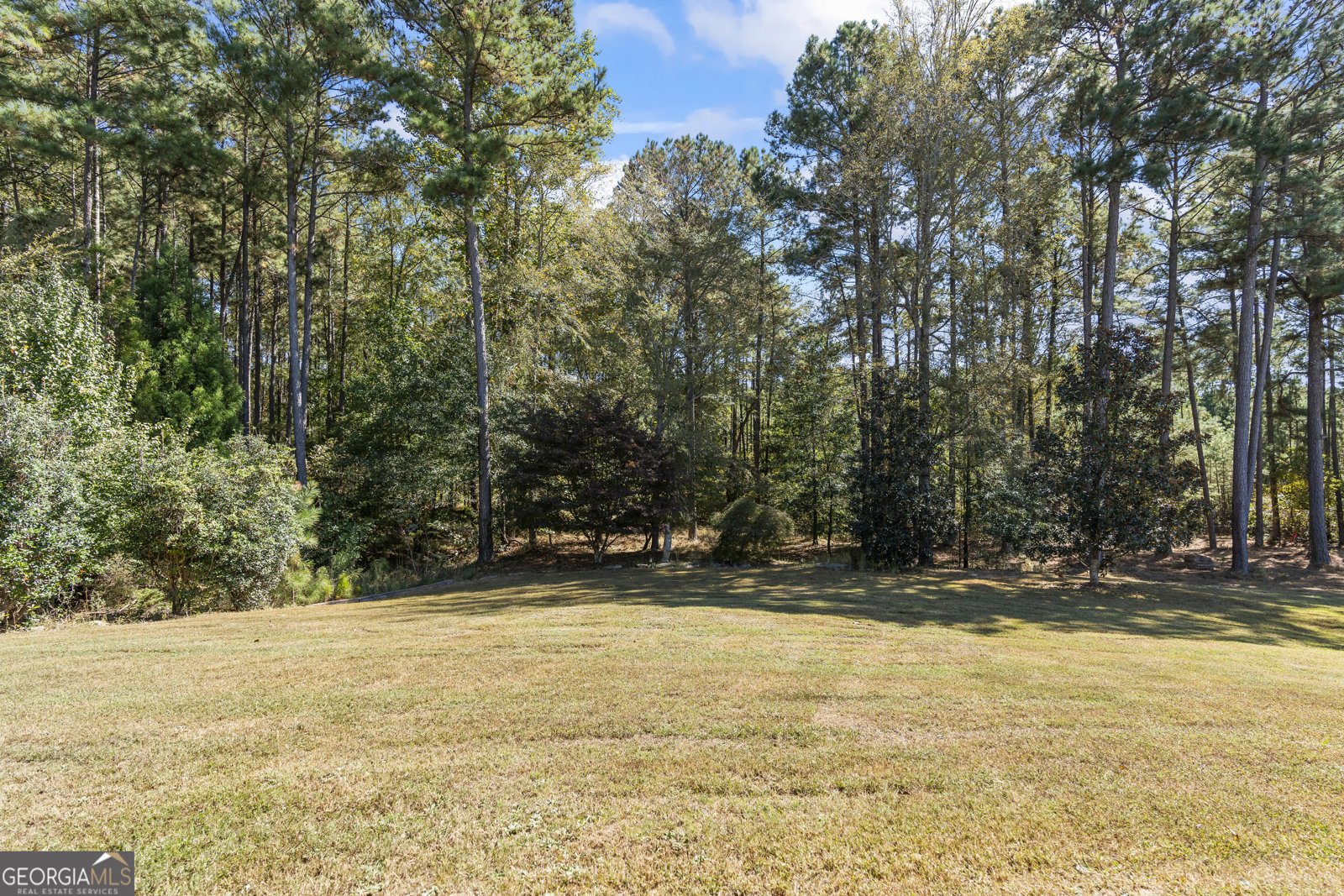 1030 Silver Thorne Drive Loganville - 68