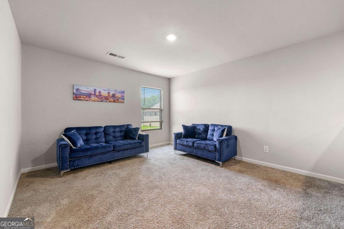 12075 Haley Lane Hampton - 14