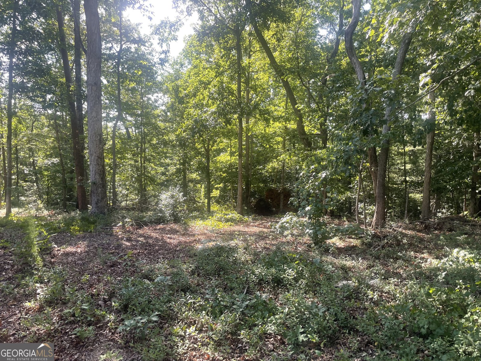 639 Old Ridge Road Demorest - 29