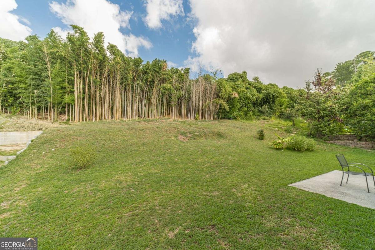 1217 Misty Valley Court Lawrenceville - 31