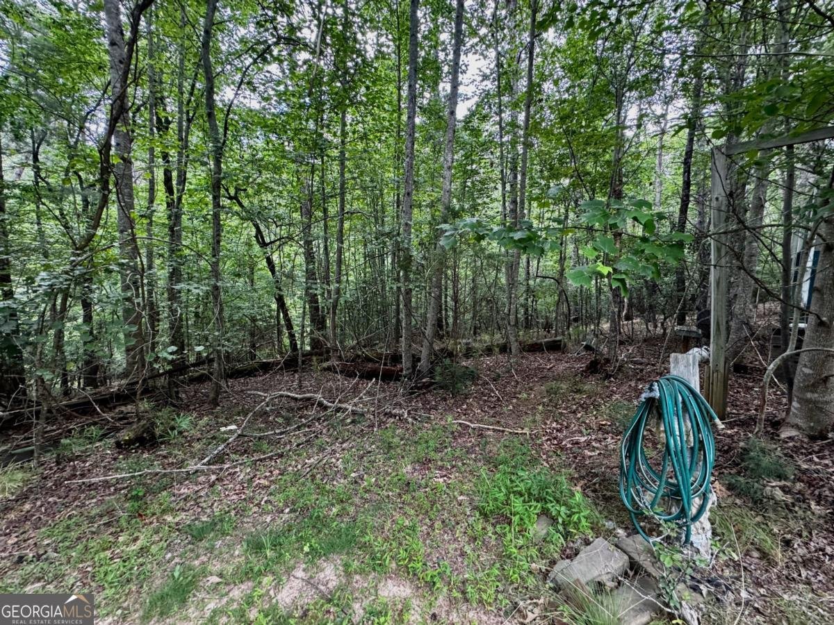 219 Cardinal Drive Dahlonega - 18