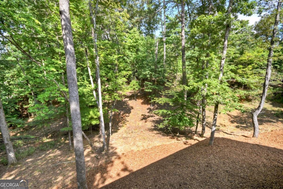388 Carlisle Drive Ellijay - 23