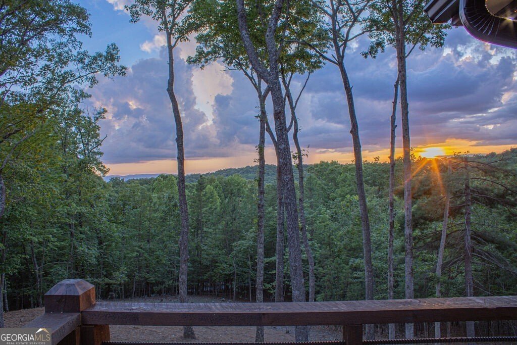 171 Antler Way Morganton - 15