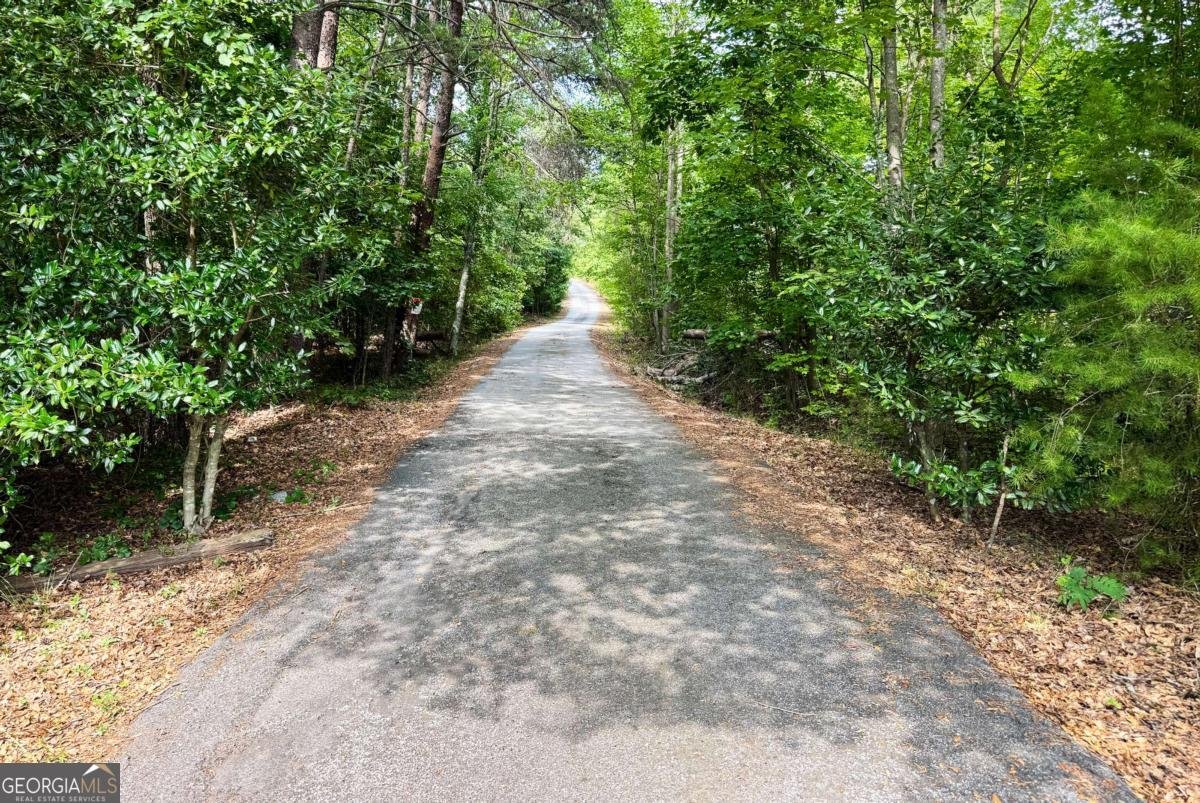 2705 Jamerson Road Marietta - 25