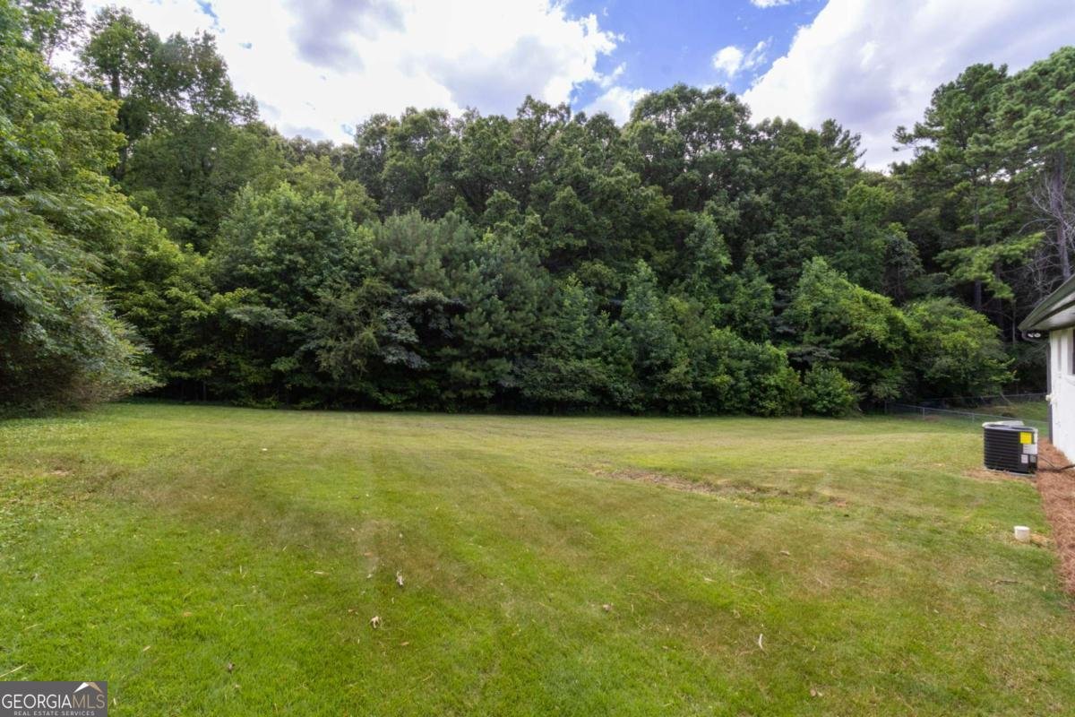 407 Blackberry Lane Lindale - 28