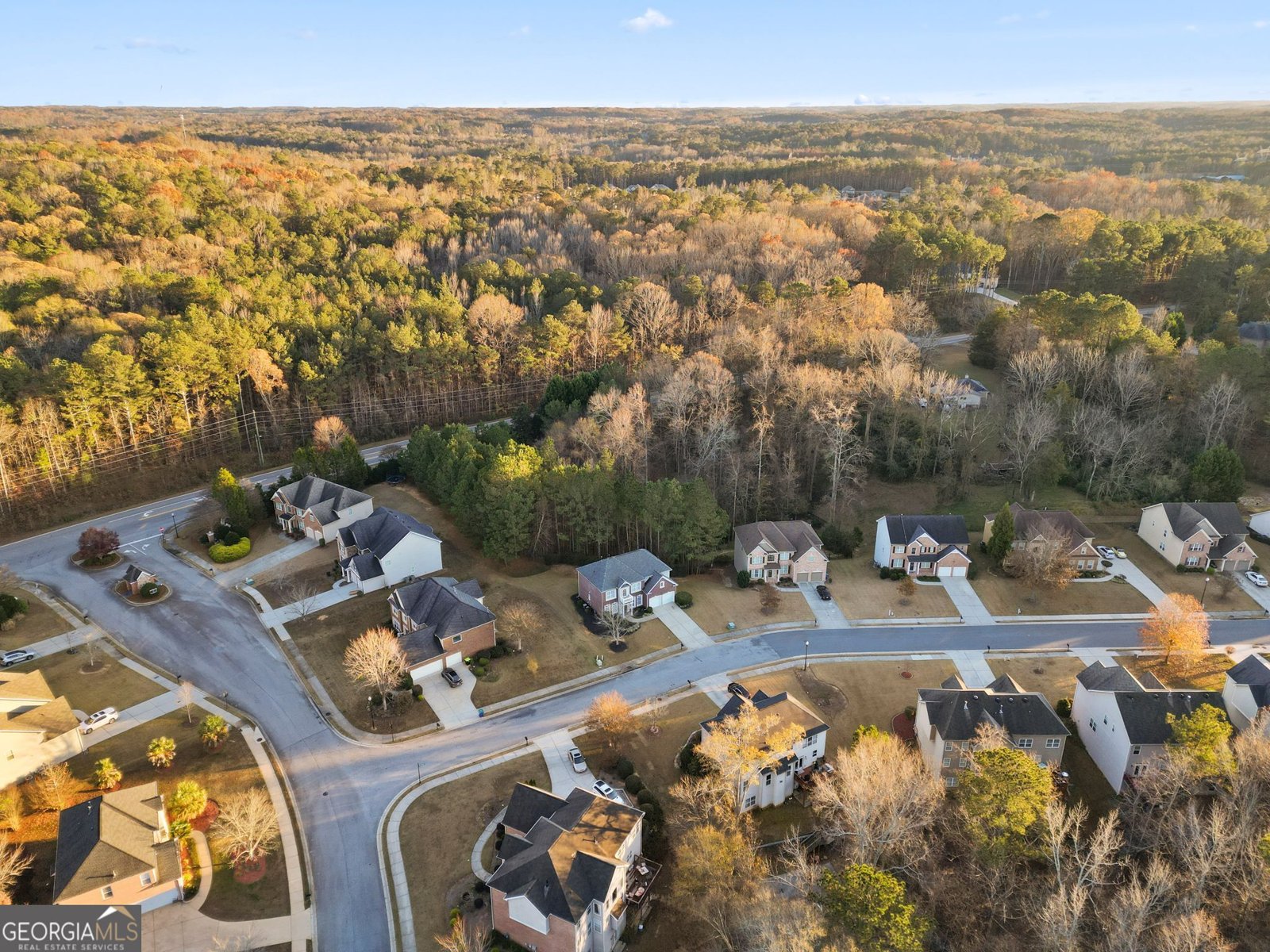 3224 Wolf Club Lane Atlanta - 23