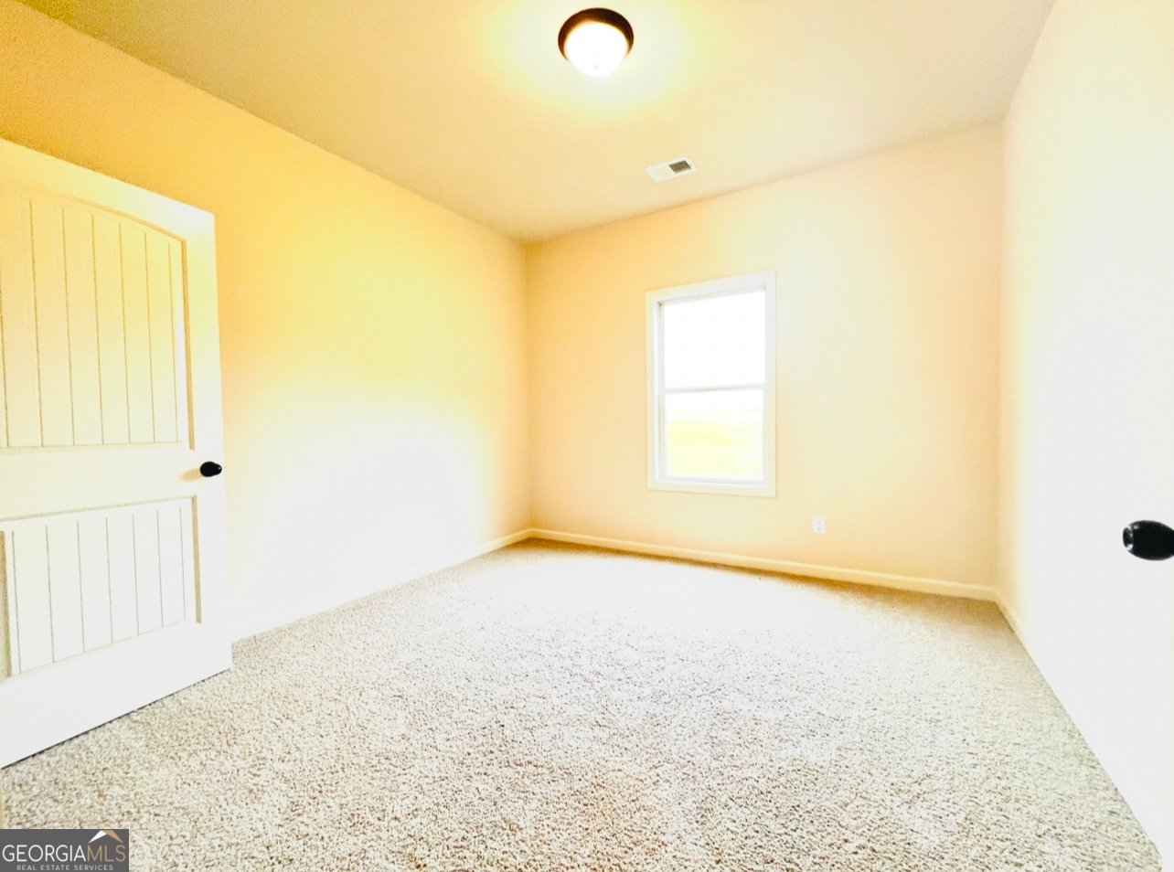 1786 McIntosh Road Lot 01 Griffin - 30