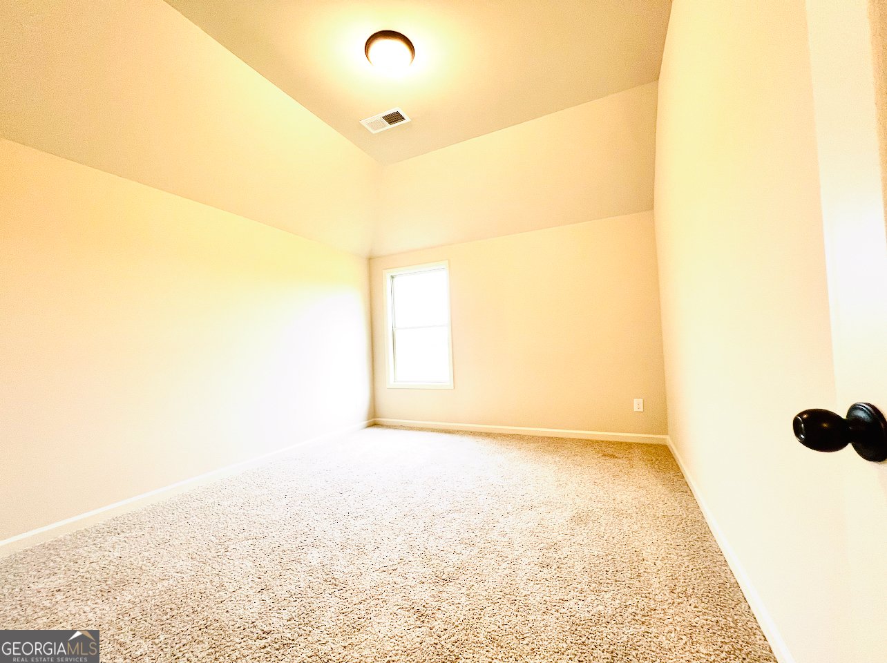 1786 McIntosh Road Lot 01 Griffin - 33