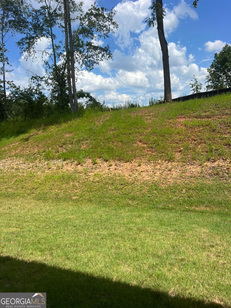 39 STATION OVERLOOK auburn - 13