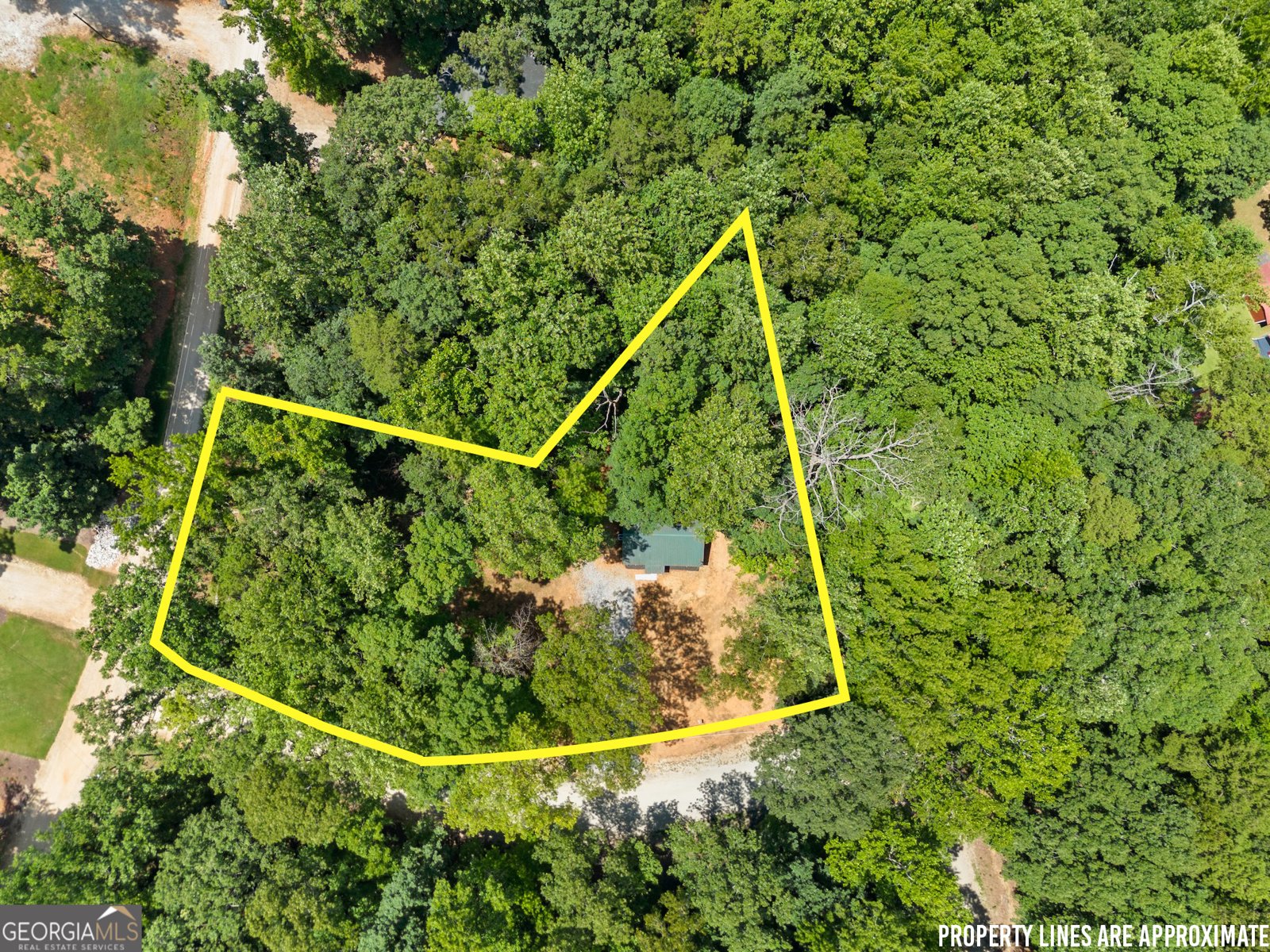 45 Lakeview Court Lavonia - 4