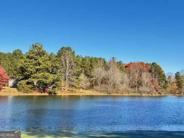 219 Lineman Way Tunnel Hill - 41