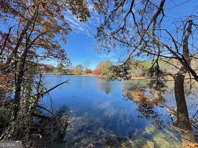 219 Lineman Way Tunnel Hill - 50