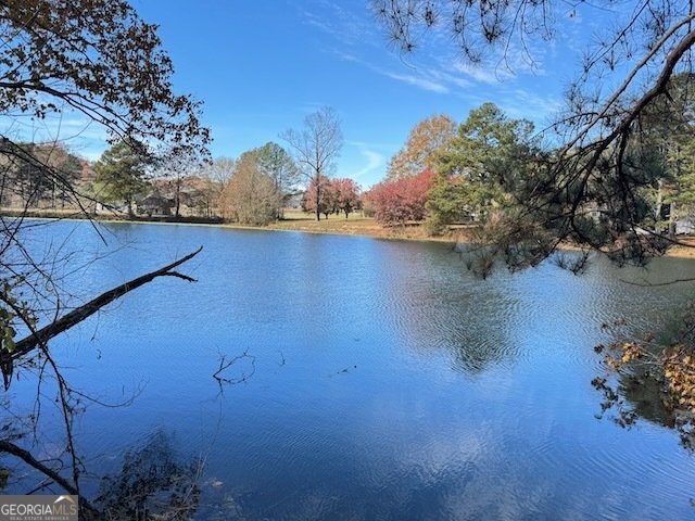 219 Lineman Way Tunnel Hill - 51