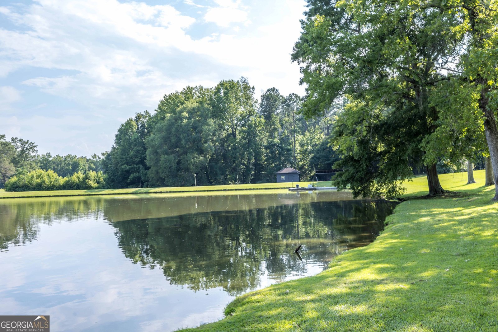 175 Slaughter Drive Waverly Hall - 19