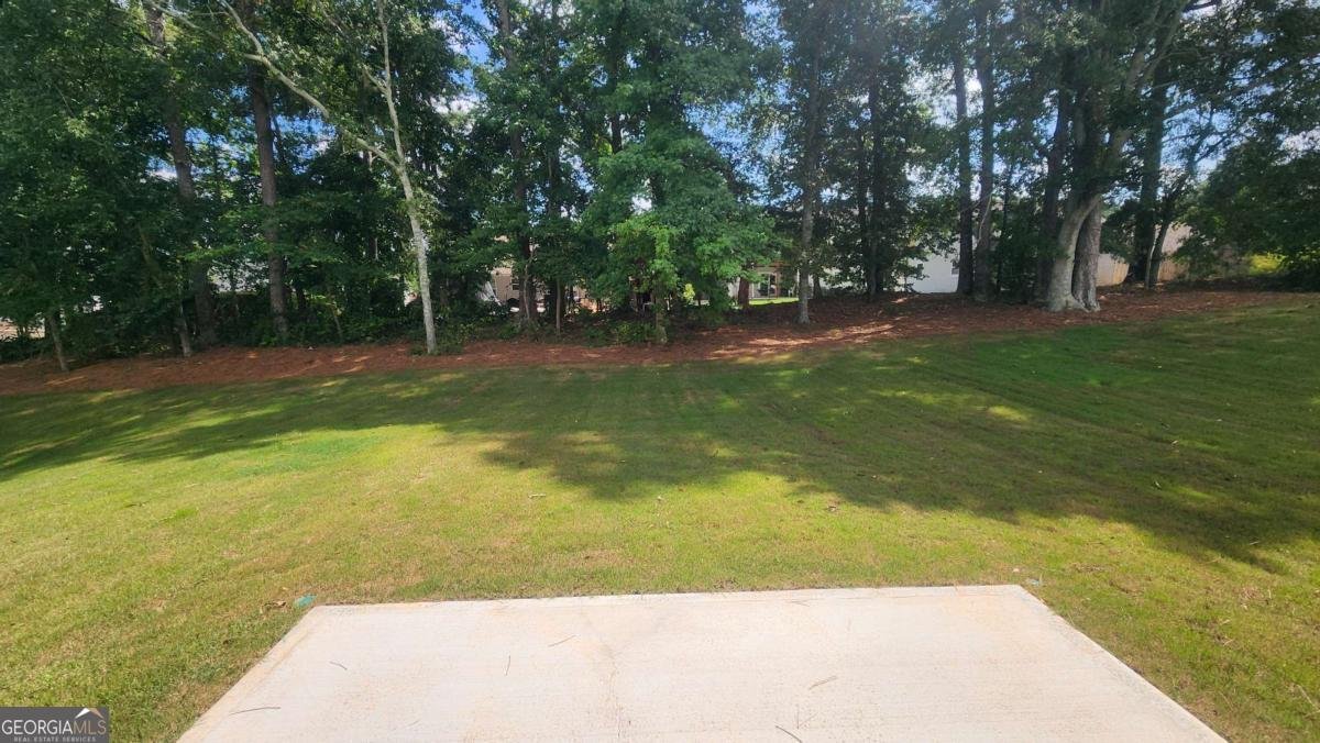 402 Silverleaf Trail Bethlehem - 20