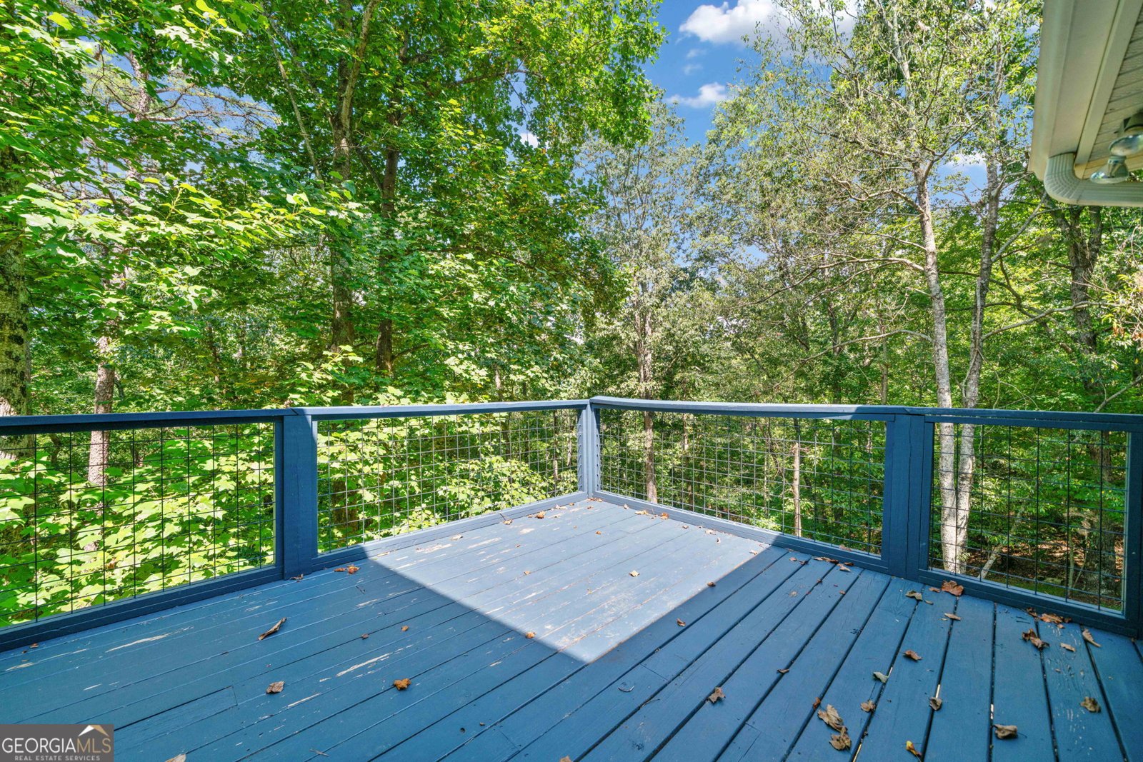 81 Talona Ridge Drive Ellijay - 19