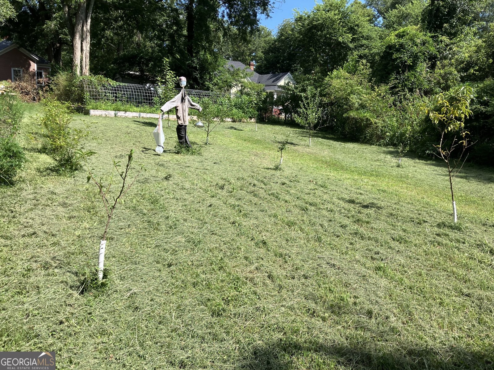 446 Hillsboro Street Monticello - 24