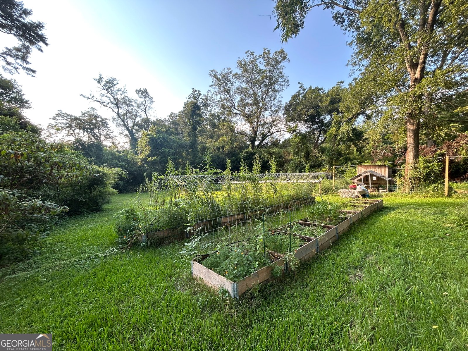 446 Hillsboro Street Monticello - 25