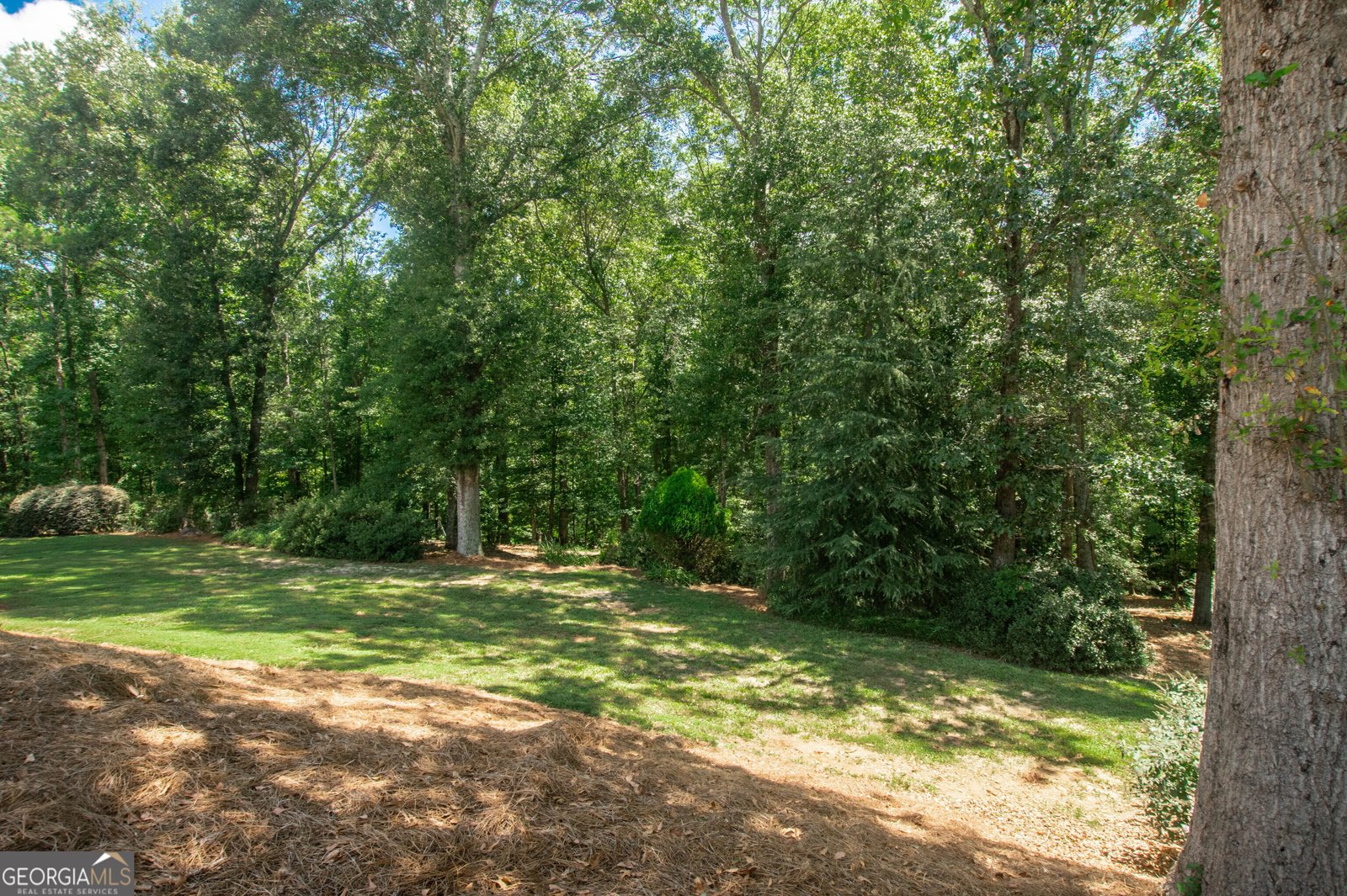1426 Brighton Place Loganville - 44